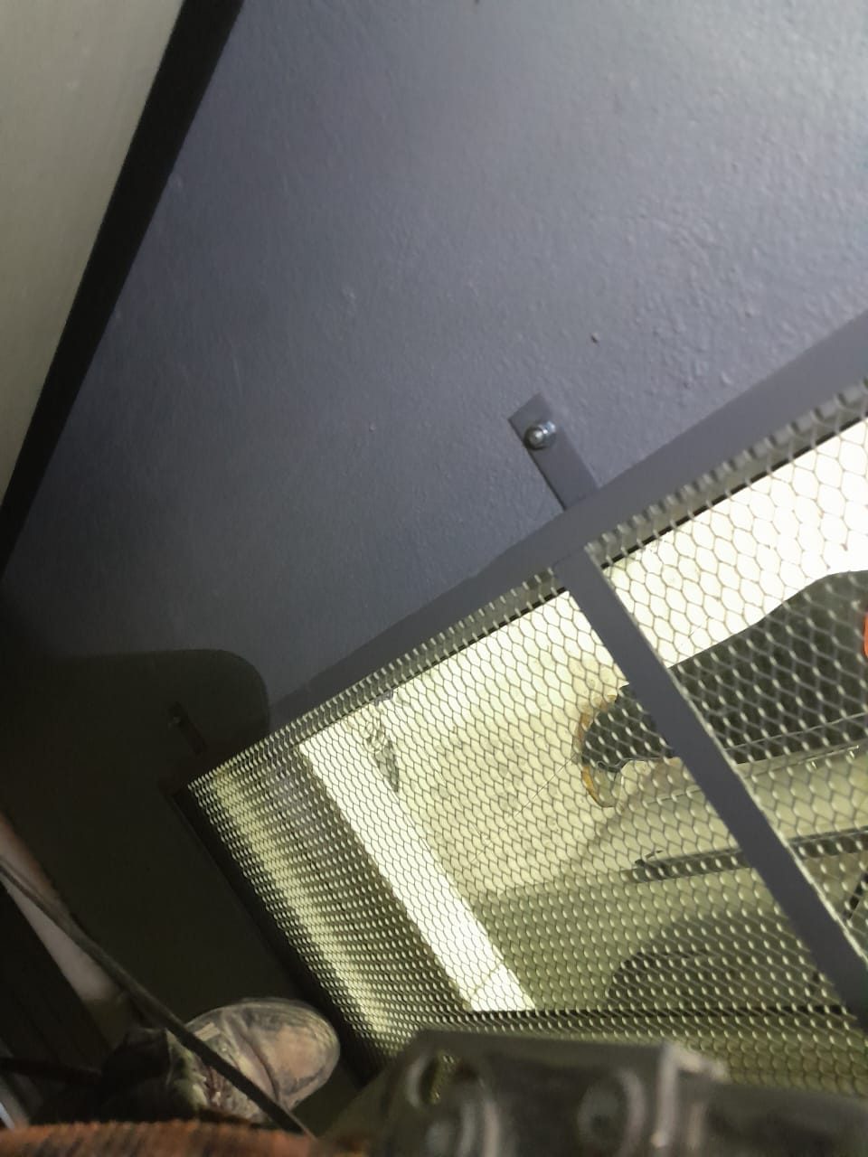 Detalle de la malla galvanizada sobre el marco, con luz al otro lado
