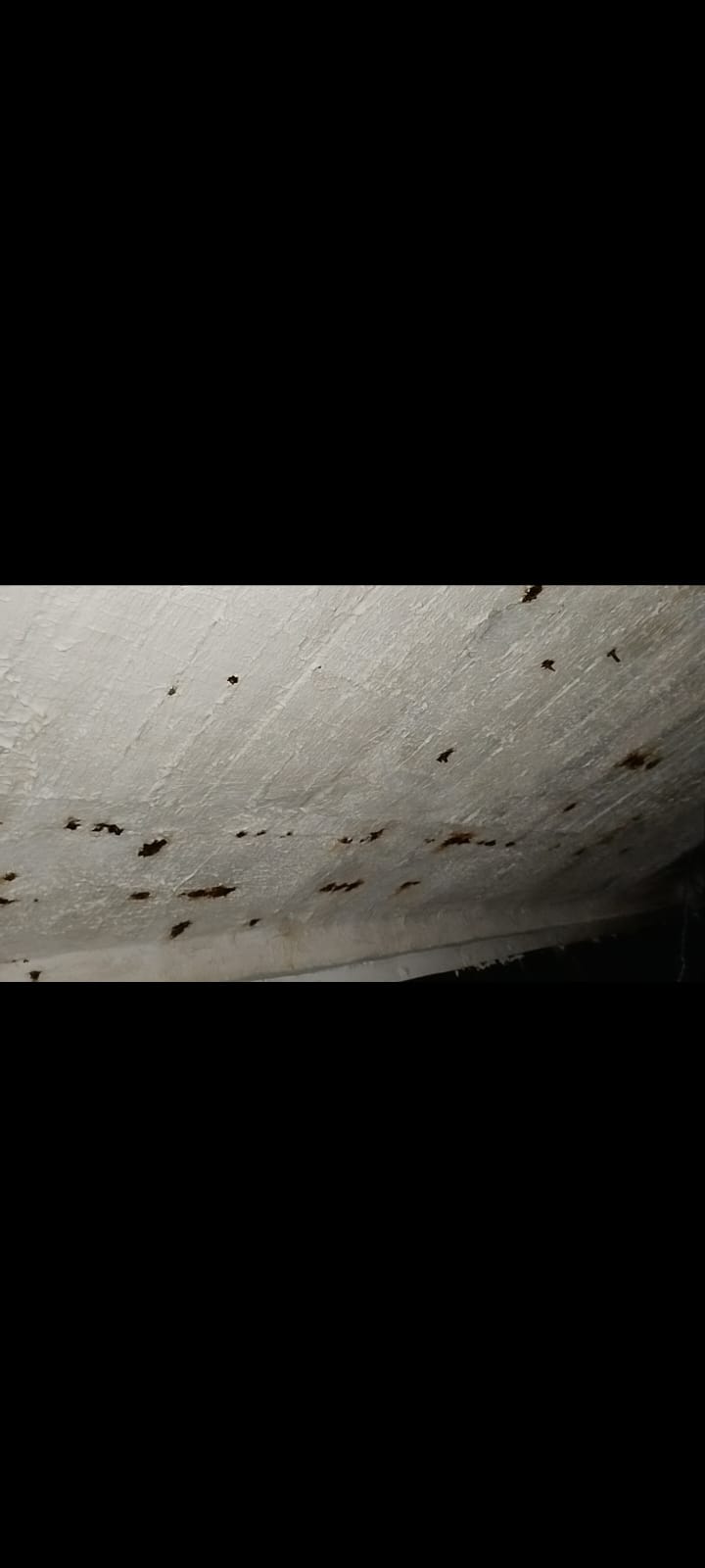 Detalle de manchas de humedad en la cubierta del tanque